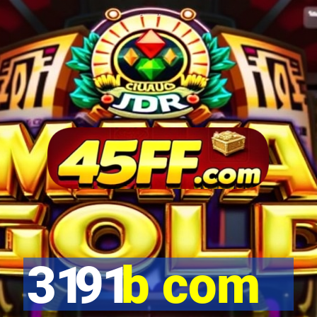 3191b com